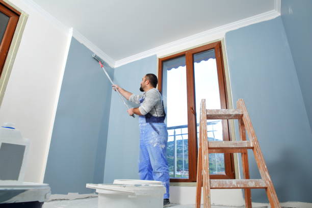 Best HVAC Mold Inspection and Cleaning  in Morton, PA