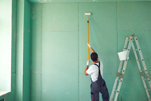 Best Mold Damage Restoration  in Morton, PA