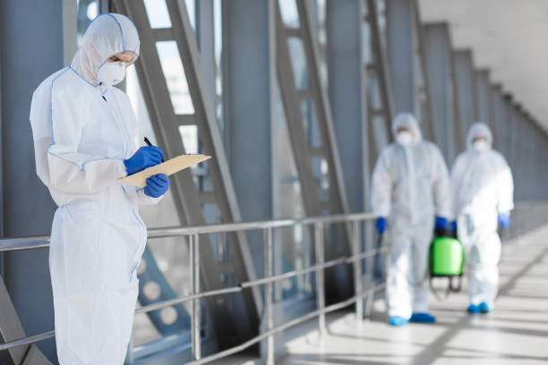 Best Asbestos and Lead Testing During Mold Inspection  in Morton, PA
