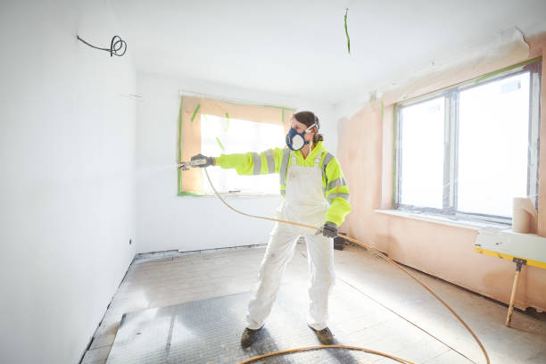 Best Post-Construction Mold Inspection  in Morton, PA