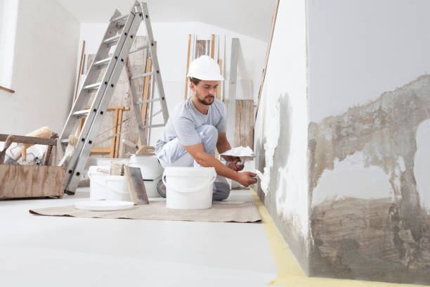 Best Emergency Mold Remediation  in Morton, PA