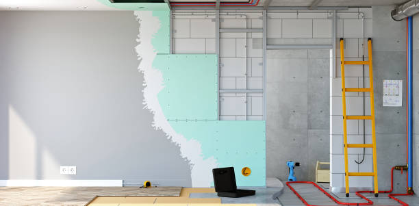 Best Airborne Mold Testing  in Morton, PA