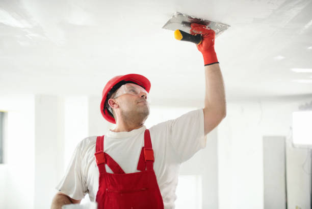 Biohazard Mold Removal in Morton, PA