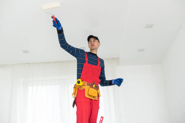 Best Indoor Air Quality Assessment  in Morton, PA