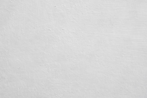 Best Mold Remediation for Healthcare Facilities  in Morton, PA