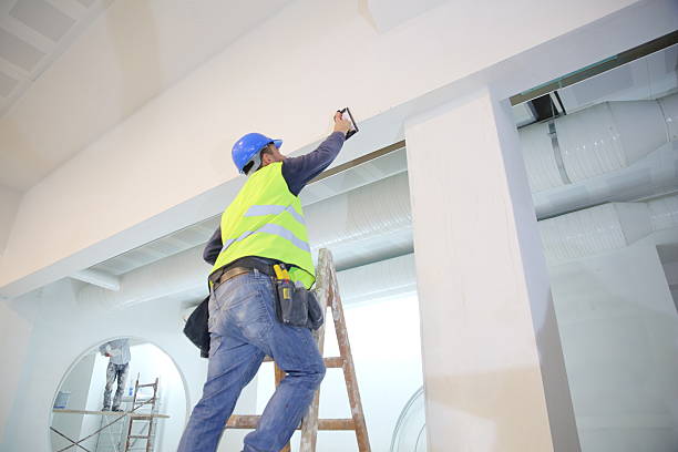  Morton, PA Mold Removal Pros