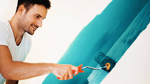 Best Water Damage & Mold Remediation  in Morton, PA